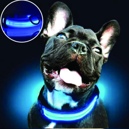 Collier Lumineux pour Chien- éclairage LED