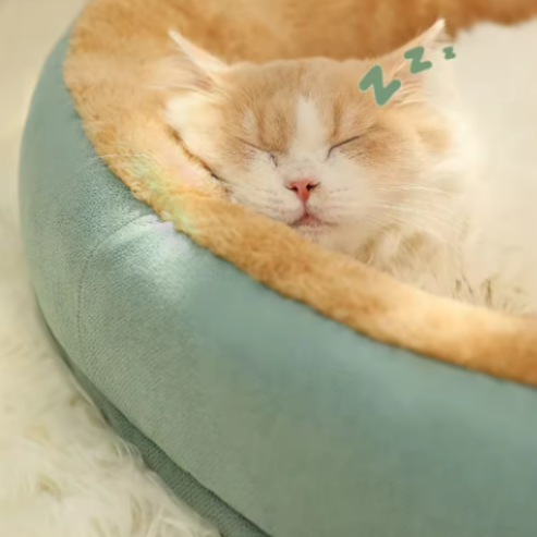 Lit pour Animal de Compagnie Confortable en Peluche