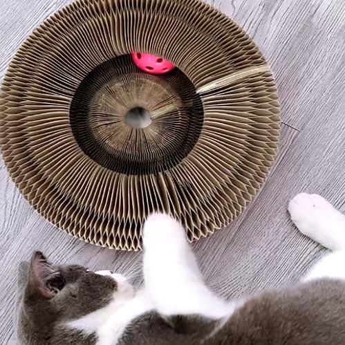 Griffoir pour Chat